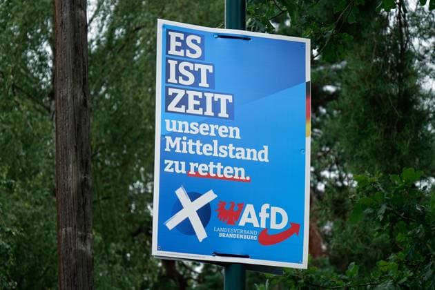 Wahlplakat der AfD Wahlplakat der AfD, 09.08.2024, Borkwalde, Brandenburg, Für eine Wahl wurde ein Wahlkplakat der AfD aufgehängt. *** AfD election poster AfD election poster, 09 08 2024, Borkwalde, Brandenburg, An AfD election poster was put up for an election