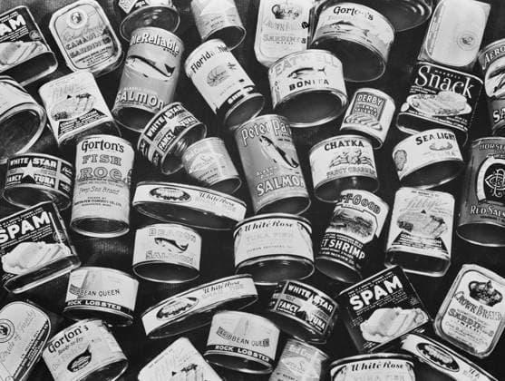 Canned Meat and Fish that were rationed during WWII, USA, Alfred T. Palmer, U.S. Office of War Information, March 1943  Copyright: xCircaxImagesx ghi-circa02311