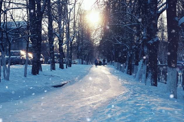 trees pathway winter urban landscape on a sunny winter day, walkways and streets ,model released, Symbolfoto Copyright: xZoonar.com AleksandrxKichiginx 9898170 ,model released, Symbolfoto ,property released