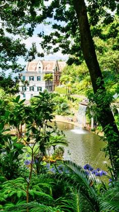 Im Jardim Tropical Monte Palace in Funchal, Madeira Im Jardim Tropical Monte Palace in Funchal, Madeira Copyright: xZoonar.com GünterxGegenheimerx 21938414
