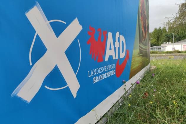 Brandenburg, Deutschland, 18.08.2024: Wahlplakate zur Landtagswahl: AfD-Wahlplakat Landesverband Brandenburg *** Brandenburg, Germany, 18 08 2024 Election posters for the state election AfD election poster Brandenburg state association Copyright: xdtsxNachrichtenagenturx dts_44536