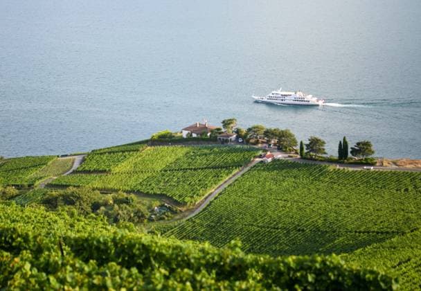 (240819) -- GENEVA, Aug. 19, 2024 -- This photo taken on Aug. 17, 2024 shows the Lavaux vineyard terrace by Lake Geneva in Switzerland. Lake Geneva is a deep lake north of the Alps on the border between Switzerland and France. ) SWITZERLAND-LAKE GENEVA-SUMMER VIEW LianxYi 
