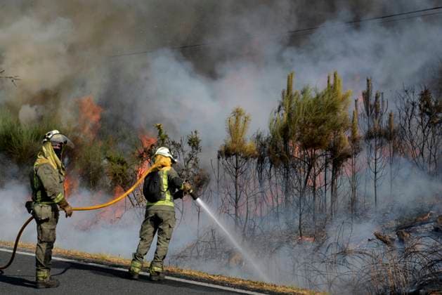 Bilder des Jahres 2024, News 08 August News Themen der Woche KW34 News Bilder des Tages Forest fire in the municipality of San Cristovo de Cea Ourense Several firefighters try to put out the fire during the forest fire in the parish of Oseira, on August 20, 2024, in San Cristovo de Cea, Ourense, Galicia Spain The flames, which started around 16 30 hours, have burned an area of about 20 hectares Although at first they moved to the scene two agents, six brigades, four motorbombas, a shovel, a technician and three helicopters, later more resources had to be added to reach three technicians, nine agents, fourteen brigades, eight motor pumps, two shovels, eight airplanes and eight helicopters The column of smoke generated by the flames can be seen from several kilometers away 20 AUGUST 2024 FIRE OSEIRA SAN CRISTOVO DE CEA OURENSE  Copyright: xRosaxVeigax 6165086
