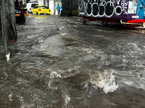 August 21, 2024, Mexico City, Mexico City, Mexico: Views this Wednesday, August 21, of the rainfall in the southern urban area of ‹â€¹Mexico City, which since yesterday afternoon has been hit by rain, leaving streets impassable, roads blocked, and fallen branches and trees.. The National Meteorological Service (SMN) reports that intense occasional rains will continue in much of the Mexican territory, while some urban areas have been flooded, which has prevented the residents of the Tlalpan mayor s office from carrying out their daily activities. Mexico City Mexico - ZUMAn296 20240821_zip_n296_005 Copyright: xJorgexNunezx