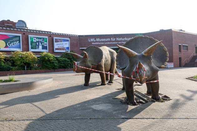 When heavy dinosaurs fly Models moved in front of the LWL Museum of Natural History Landmarks of the museum mark the new museum entrance The LWL Museum of Natural History is getting an extension on the museum forecourt For the duration of the construction work, the dinosaurs mark the new, temporary entrance to the museum Münster, North Rhine-Westphalia, DEU, German