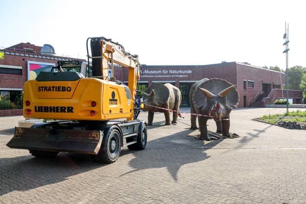 When heavy dinosaurs fly Models moved in front of the LWL Museum of Natural History Landmarks of the museum mark the new museum entrance The LWL Museum of Natural History is getting an extension on the museum forecourt For the duration of the construction work, the dinosaurs mark the new, temporary entrance to the museum Münster, North Rhine-Westphalia, DEU, German