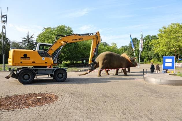 When heavy dinosaurs fly Models moved in front of the LWL Museum of Natural History Landmarks of the museum mark the new museum entrance The LWL Museum of Natural History is getting an extension on the museum forecourt For the duration of the construction work, the dinosaurs mark the new, temporary entrance to the museum Münster, North Rhine-Westphalia, DEU, German