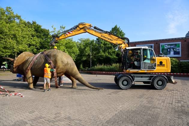 When heavy dinosaurs fly Models moved in front of the LWL Museum of Natural History Landmarks of the museum mark the new museum entrance The LWL Museum of Natural History is getting an extension on the museum forecourt For the duration of the construction work, the dinosaurs mark the new, temporary entrance to the museum Münster, North Rhine-Westphalia, DEU, German
