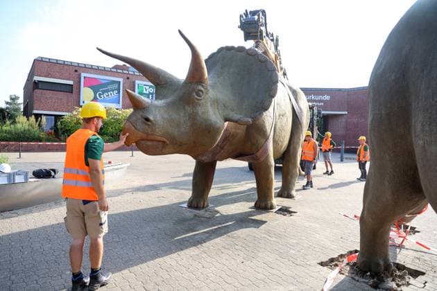 When heavy dinosaurs fly Models moved in front of the LWL Museum of Natural History Landmarks of the museum mark the new museum entrance The LWL Museum of Natural History is getting an extension on the museum forecourt For the duration of the construction work, the dinosaurs mark the new, temporary entrance to the museum Münster, North Rhine-Westphalia, DEU, German