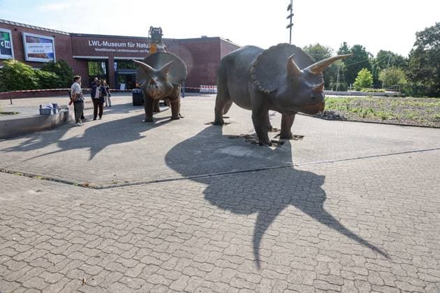 When heavy dinosaurs fly Models moved in front of the LWL Museum of Natural History Landmarks of the museum mark the new museum entrance The LWL Museum of Natural History is getting an extension on the museum forecourt For the duration of the construction work, the dinosaurs mark the new, temporary entrance to the museum Münster, North Rhine-Westphalia, DEU, German