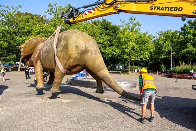 When heavy dinosaurs fly Models moved in front of the LWL Museum of Natural History Landmarks of the museum mark the new museum entrance The LWL Museum of Natural History is getting an extension on the museum forecourt For the duration of the construction work, the dinosaurs mark the new, temporary entrance to the museum Münster, North Rhine-Westphalia, DEU, German