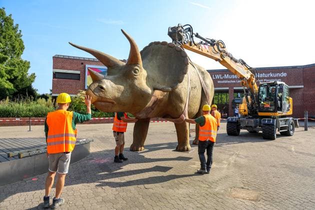 When heavy dinosaurs fly Models moved in front of the LWL Museum of Natural History Landmarks of the museum mark the new museum entrance The LWL Museum of Natural History is getting an extension on the museum forecourt For the duration of the construction work, the dinosaurs mark the new, temporary entrance to the museum Münster, North Rhine-Westphalia, DEU, German