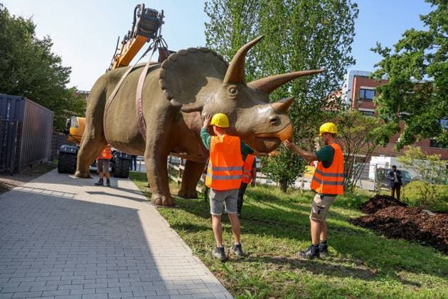 When heavy dinosaurs fly Models moved in front of the LWL Museum of Natural History Landmarks of the museum mark the new museum entrance The LWL Museum of Natural History is getting an extension on the museum forecourt For the duration of the construction work, the dinosaurs mark the new, temporary entrance to the museum Münster, North Rhine-Westphalia, DEU, German