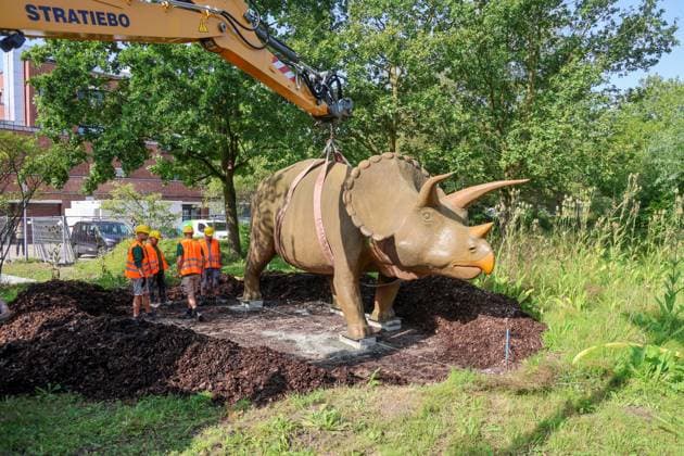When heavy dinosaurs fly Models moved in front of the LWL Museum of Natural History Landmarks of the museum mark the new museum entrance The LWL Museum of Natural History is getting an extension on the museum forecourt For the duration of the construction work, the dinosaurs mark the new, temporary entrance to the museum Münster, North Rhine-Westphalia, DEU, German