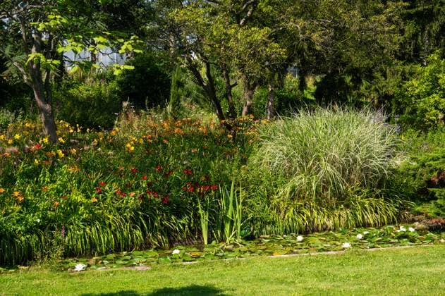The University botanical garden, the Loki Schmidt Garten in Altona Hamburg, Germany