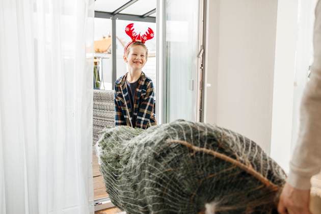 Smiling boy carrying Christmas tree and helping father at home model released, Symbolfoto property released, ELMF00610