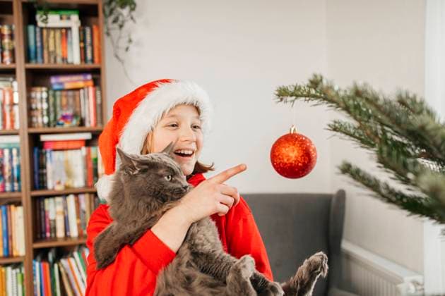 Girl carrying cat and pointing at Christmas ornament in home model released, Symbolfoto property released, ELMF00618
