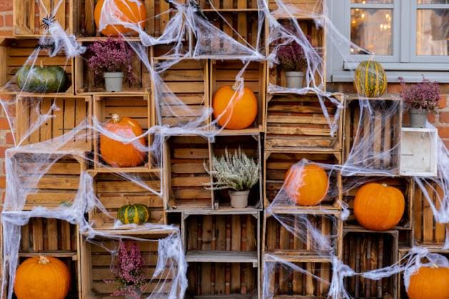 Exterior design cozy atmospheric halloween pumpkins in wooden boxes decorated on porch. Autumn leaves and fall flowers celebration holiday Thanksgiving October season Exterior design cozy atmospheric halloween pumpkins in wooden boxes decorated on porch. Autumn leaves and fall flowers celebration holiday Thanksgiving October season outdoors in city Copyright: xZoonar.com AnastasiiaxYanishevskax 22064369