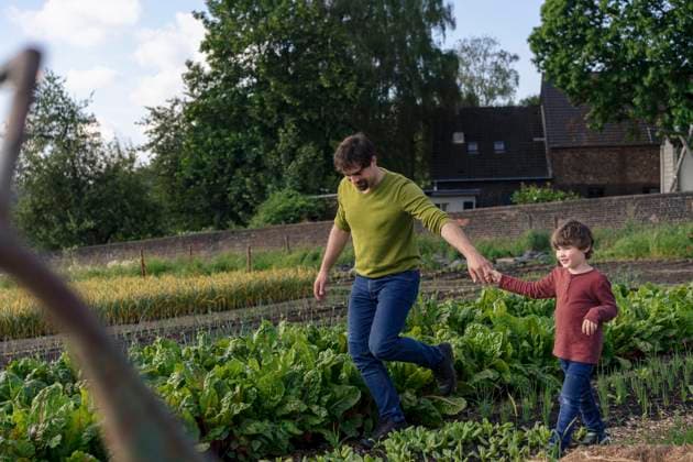 Father holding son s hand and walking amidst plants in farm model released, Symbolfoto property released, JOSEF25985