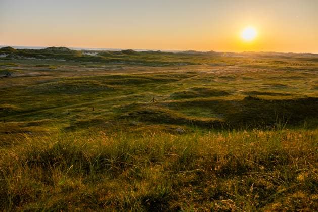 Norderney. 08 AUG 2024. Sonniger Abend in den Dünen um die Möwendüne in der Osthälfte von Norderney. OSTFRIESLAND. Ostfriesische Inseln. *** Norderney 08 AUG 2024 Sunny evening in the dunes around the Möwendüne in the eastern half of Norderney OSTFRIESLAND East Frisian Islands Copyright: JanisMEYER Priller&MAUG JMY2U9802X