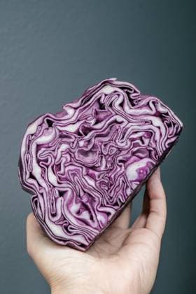 Holding cut chopped head of red cabbage Seattle, Washington, United States R_JORC240822A-1521312-01