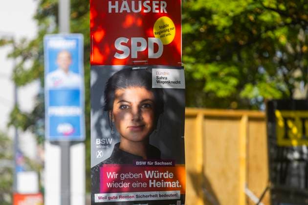 Landtagswahlkampf in Sachsen Die heiße Phase das Landtagswahlkampfes in Sachsen, kann man der Menge der verschiedentsten Botschaften an Bäume und Laternen ablesen. Dresden Sachsen Deutschland *** State election campaign in Saxony The hot phase of the state election campaign in Saxony can be seen in the amount of different messages on trees and lanterns Dresden Saxony Germany