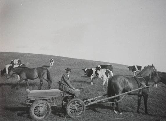 Mann mit Pferdewagen GER,20240101, Aufnahme ca.1930, Bauer auf einem Pferdewagen *** Man with horse-drawn cart GER,20240101, photo ca. 1930, farmer on a horse-drawn cart
