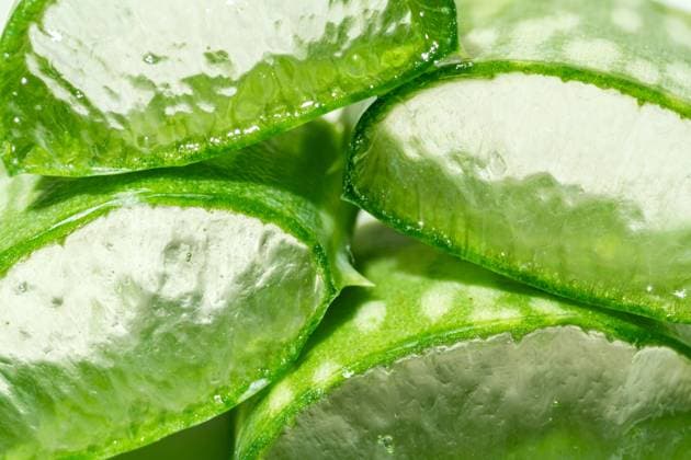 IMAGO Creative, Naturkosmetik Close-up image capturing the intricate textures and moisture-rich surfaces of fresh aloe vera slices, ideal for use in cosmetics and skin care Model Released Ikvyatkovskaya_ID23304_677700_028 Copyright: xIkvyatkovskayax
