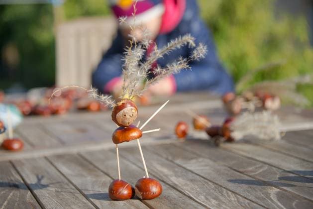 Niedliche kleine Figur aus Zahnstochern und Kastanien auf einem rustikalen Tisch, mit einem Kind im Hintergrund, das eine weitere Figur macht Cute little conker figure made from toothpicks and sweet chestnuts standing on a rustic table with a child visible in the background making another Copyright: imageBROKER LarsxZahner ibxiqx09383380.jpg