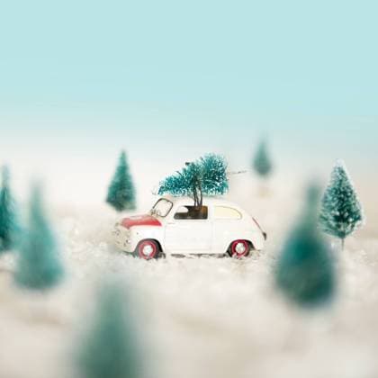Driving Home für Weihnachtsbaum Driving Home for Christmas Tree Copyright: imageBROKER MarcoxMartins ibxiqx09393068.jpg
