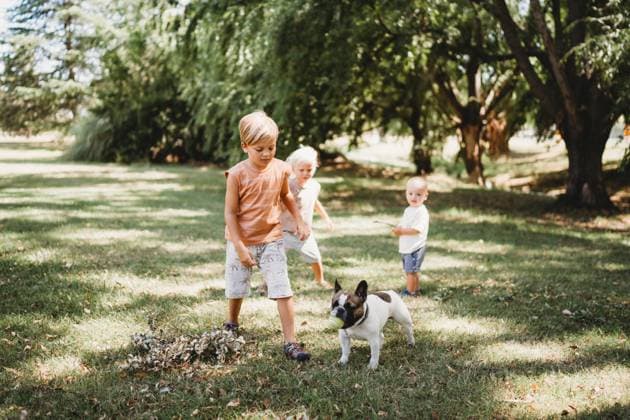 IMAGO Creative, Sommer, Sommertage im Garten Young siblings brothers playing with french bulldog pet in garden Buenos Aires, Buenos Aires, Argentina CR_TANI240829A-965838-01 ,model released, Symbolfoto