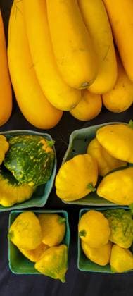 Yellow and pattypan squash in green cartons at a market stall Kelowna, British Columbia, Canada R_PESF240902-1529468-01