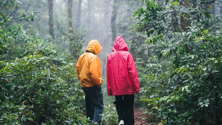 Creative Highlights Symbolbilder Father and daughter hiking exploring a lush forest A father and daughter wearing raincoats hiking exploring a misty, lush forest, enjoying nature together on a rainy day. ,model released, Symbolfoto Copyright: xZoonar.com SirinarthxMekvorawuthx 22082145 ,model released, Symbolfoto ,property released