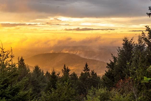 News Themen der Woche KW36 News Bilder des Tages Abendstimmung im Taunus Nach Regenschauern scheint die untergehende Sonne durch Nebelschwaden am Großen Feldberg., Schmitten Hessen Deutschland *** Evening mood in the Taunus After rain showers, the setting sun shines through wafts of mist on the Großer Feldberg , Schmitten Hessen Germany