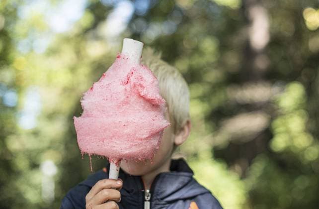 Creative Highlights Symbolfotos Rosa Zuckerwatte vor einem Kind Pink candy floss in front of a kid Copyright: imageBROKER TrygvexFinkelsen ibxiqx11139210.jpg ,model released, Symbolfoto ,property released