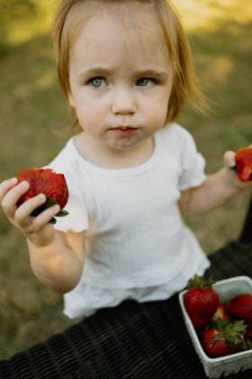 Creative Highlights Symbolfotos Toddler eating a basket of strawberries outside Raleigh, North Carolina, United States R_XMBF2409104A-1539331-01 ,model released, Symbolfoto