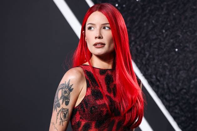 2024 MTV Video Music Awards - Arrivals ELMONT, NEW YORK, USA - SEPTEMBER 11: Halsey wearing vintage Versace arrives at the 2024 MTV Video Music Awards held at UBS Arena on September 11, 2024 in Elmont, New York, United States., Credit:Xavier Collin Avalon United States, New York, Elmont, UBS Arena  Copyright: xXavierxCollinx xAvalonx 0907001713