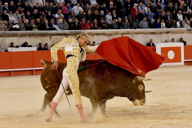 News Themen der Woche KW37 Corrida in Nimes during la Feria des Vendanges Alternaive de Lalo de Maria LALO DE MARIA aka LALO LAMBERT 309255 2024 09 13 Nimes France  Copyright: xThomasxBohlenx STAR_309255_003