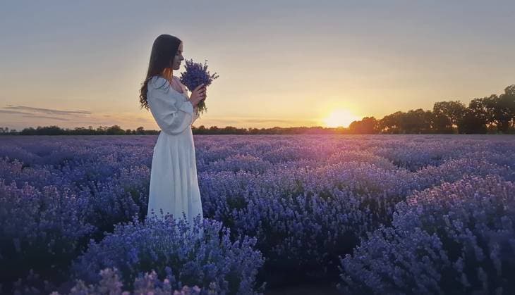 Creative Highlights Symbolfotos Junge Frau trägt ein weißes Kleid auf einem Lavendelfeld riechen lila Lavandula Blumen Bouquet. Schöne Braut in Harmonie mit der Natur, Ehe Glück Konzept, malerische Sommerlandschaft Young woman wearing a white dress on a lavender field smelling purple lavandula flowers bouquet. Beautiful bride in harmony with nature, marriage happiness concept, picturesque summer scenery Copyright: imageBROKER VeaceslavxBordeianu ibxveb11066987.jpg ,model released, Symbolfoto ,property released