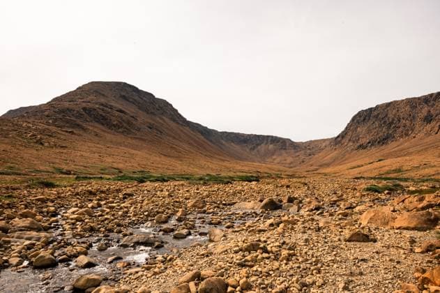 Creative Highlights World Rocky stream running through Tablelands in Gros Morne, Newfoundland. Rocky Harbour, Newfoundland and Labrador, Canada R_DOHO240913H-1530850-01