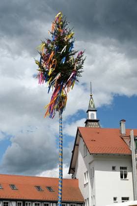 Maibaum in Bad Herrenalb Maibaum in Bad Herrenalb Copyright: xZoonar.com VolkerxRauchx 22201292
