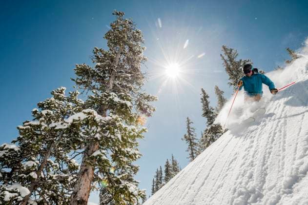 Skier at Monarch Mountain resort skiing powder Monarch, Colorado, United States CR_PEDO240921-1153844-01 ,model released, Symbolfoto