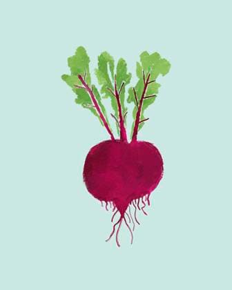 illustration of a single beetroot with lush green leaves and prominent roots on a pastel pink background, representing freshness and healthy eating. Hand-painted beetroot with leaves against a turquoise background. sham00545 Copyright: xConnectxImagesx ,property released