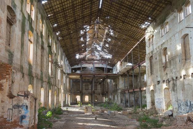 Verlassene Industriehalle mit großem geschwungenem Dach, durch das Tageslicht fällt, teilweise verfallene Wände und graffiti-bedeckte Oberflächen, umgeben von Schutt und wilder Vegetation, Azucarera San Torcuato, ehemalige Zuckerfabrik, Lost Places, Guadix, Provinz Granada, Andalusien, Spanien, Europa Abandoned industrial building with a large curved roof through which daylight falls, partially dilapidated walls and graffiti-covered surfaces, surrounded by rubble and wild vegetation, Azucarera San Torcuato, former sugar factory, Lost Places, Guadix, Granada province, Andalusia, Spain, Europe Copyright: imageBROKER FraukexScholz ibxsco11438834.jpg