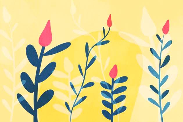 A minimalist illustration featuring stylized plants with pink and blue leaves against a soft yellow background, perfect for modern decor. Model Released HodeiUnzueta_ID24007_695928_007 Copyright: xHodeixUnzuetax RECORD DATE NOT STATED