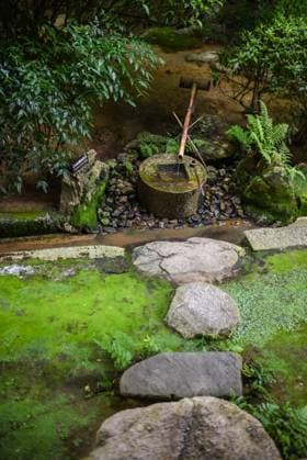 Ryoan-Ji Temple in Kyoto Copyright: xx NN-JAPAN2017-1165-2