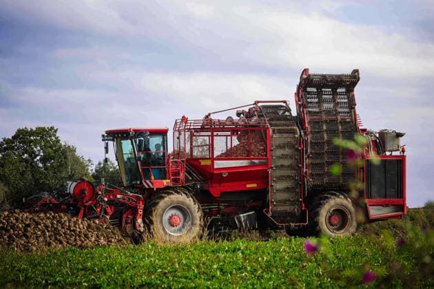 News Themen der Woche KW40 News Bilder des Tages 01.10.2024, Ried im Innkreis, AUT, Unterwegs in Oberösterreich, Symbolbild, Themenbild, Verschiedene Themenbilder, Zuckerrüben Ernte, Landwirtschaft, im Bild Ernte, Zuckerrübe, Rüben, Erntemaschine, Feld, Landwirtschaft, Felder, Oktober, Ruebe, Rübe, *** 01 10 2024, Ried im Innkreis, AUT, On the road in Upper Austria, symbol picture, theme picture, various theme pictures, sugar beet harvest, agriculture, in the picture harvest, sugar beet, beet, harvesting machine, field, agriculture, fields, October, beet, turnip,