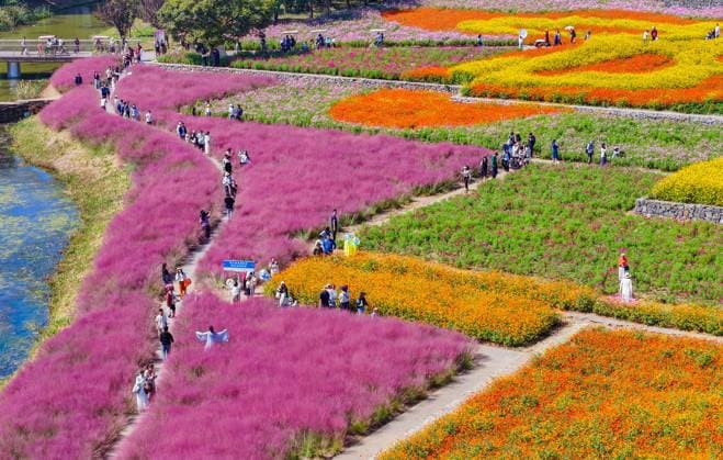 Bilder des Jahres 2024, News 10 Oktober News Themen der Woche KW40 Santaishan National Forest Park in Suqian SUQIAN, CHINA - OCTOBER 4, 2024 - Tourists play among the blooming flowers at Santaishan National Forest Park in Suqian, East China s Jiangsu province, Oct 4, 2024. Suqian Jiangsu China  Copyright: xCFOTOx i1728087937396