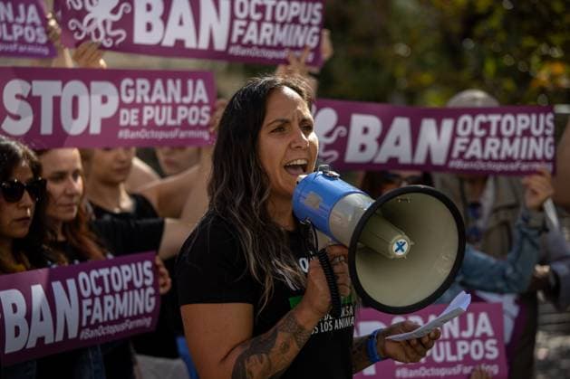 News Themen der Woche KW40 News Bilder des Tages October 5, 2024, Madrid, Spain: An activist speaks through a megaphone during a rally. In the framework of World Octopus Day, animal rights organizations such as AnimaNaturalis, EKO, Accion Oceanos, Eurogroup For Animals, Compassion in World Farming, Raices & Brotes, Ecologistas en Accion, OBA and Greenpeace have gathered in front of the Congress of Deputies in Madrid to try to prevent the construction of the world s first octopus farm in Las Palmas de Gran Canaria, Spain. Madrid Spain - ZUMAs197 20241005_aaa_s197_032 Copyright: xDavidxCanalesx