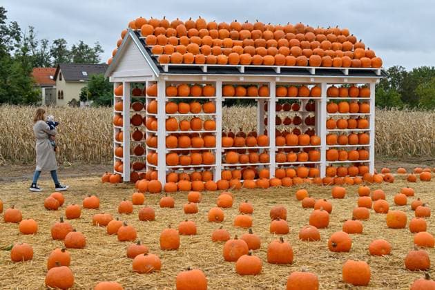 Bilder des Jahres 2024, News 10 Oktober News Themen der Woche KW40 News Bilder des Tages Thousands of pumpkins decorated these days Pumpkin World 2024 in Drnholec, Breclav Region, Czech Republic, October 5, 2024. (CTKxPhoto VaclavxSalek) CTKPhotoP2024100505257  CTKPhotoP2024100505257